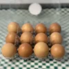 Free-Range Eggs with High-Quality, Organic Feed by Tortilleria La Milpa
