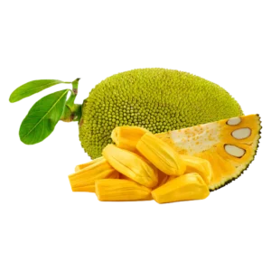 Jackfruit_Fruit Freeze-Dried Jackfruit by Nokki Farm