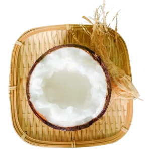 Freeze-Dried Macapuno Coconut Chips by Nokki Farm