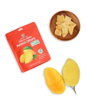 Mango_Product_Pracement_3 Freeze-Dried Mango Crisps by Nokki Farm