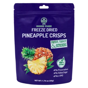 Freeze-Dried Pineapple Crisps by Nokki Farm