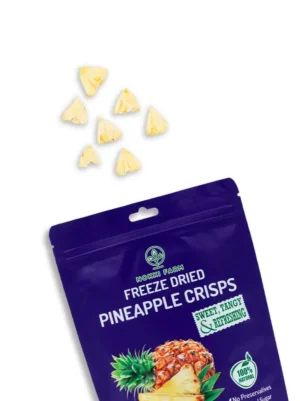 Freeze-Dried Pineapple Crisps by Nokki Farm