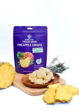Freeze-Dried Pineapple Crisps by Nokki Farm