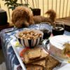 Rosemary & Lemon Norwegian Crispbread
