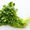 cilantro Jaljeera Soda by South Bay Naturals