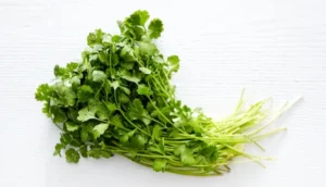 cilantro Jaljeera Soda by South Bay Naturals