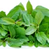 mint Jaljeera Soda by South Bay Naturals