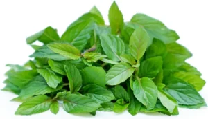 mint Jaljeera Soda by South Bay Naturals