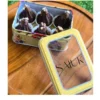 RagI Chocolate Brownie Modak Gifting Box Ganpati Modak Gifting Box by Sajuk Soul (Pre-order only)